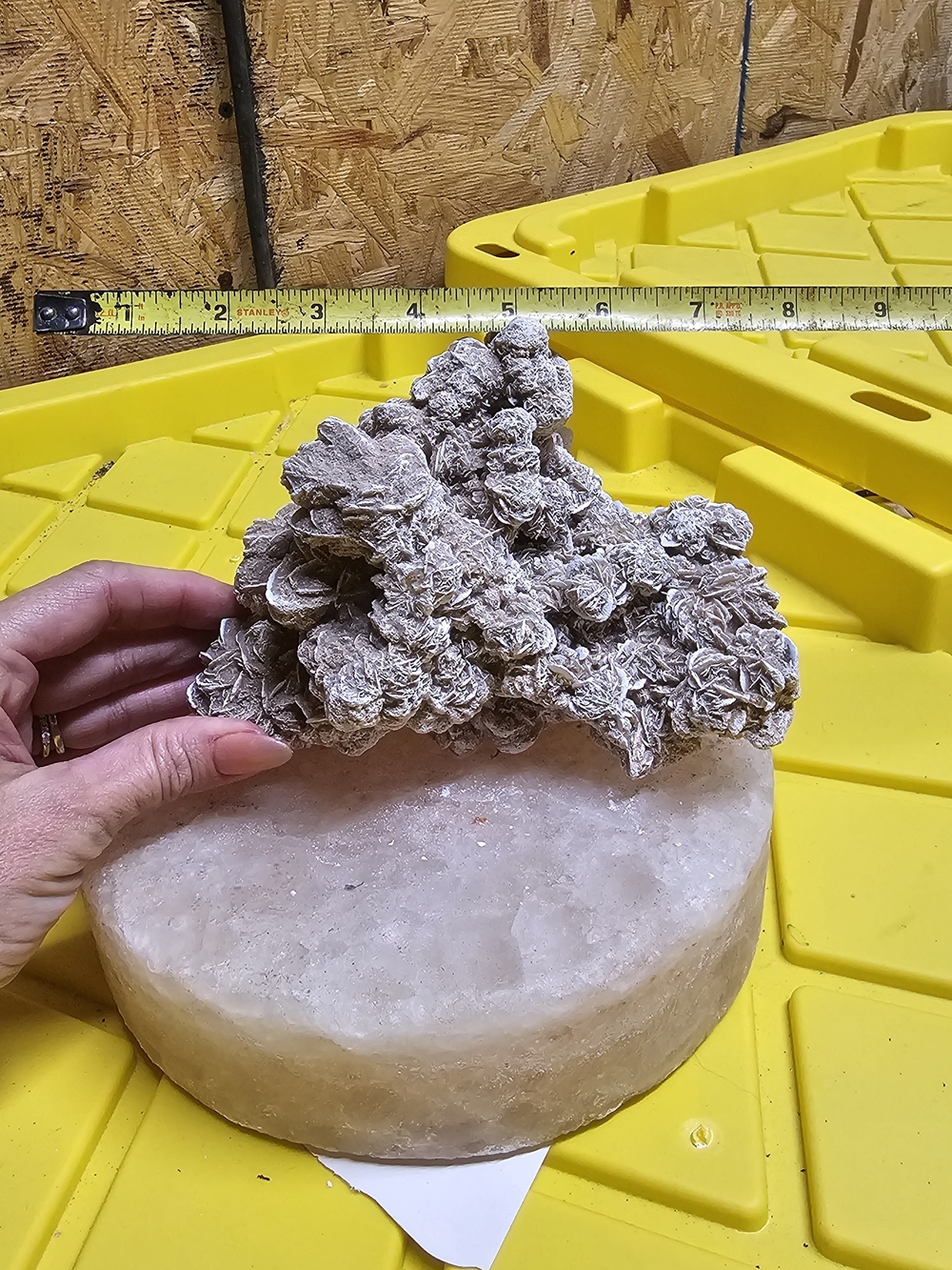 Desert Rose Selenite Crystal Cluster - Natural Beige and White Tones - Picture 2 of 3